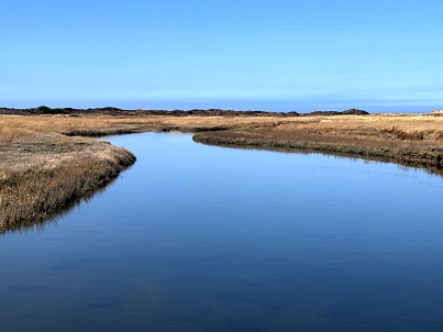 Impressionen Borkum 8