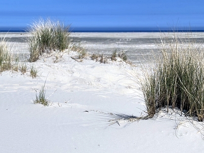 Impressionen Borkum 9