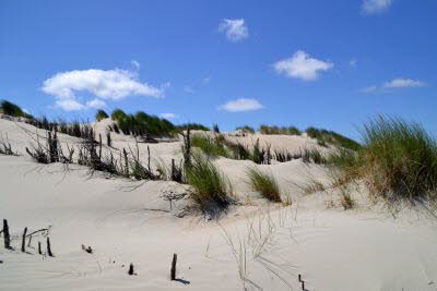 Impressionen von Borkum (36)