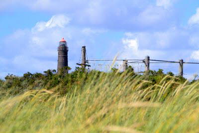 Impressionen von Borkum (38)