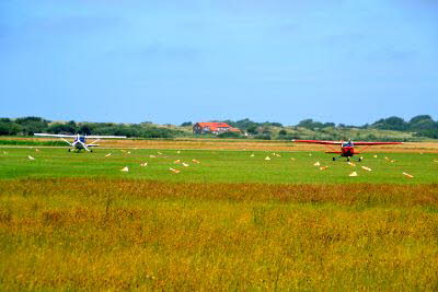 Impressionen von Borkum (39)