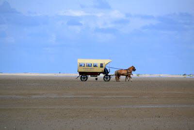 Impressionen von Borkum (44)