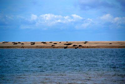 Impressionen von Borkum (45)